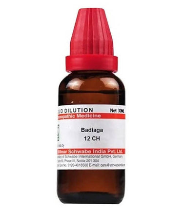 https://cdn.shopify.com/s/files/1/1857/6931/products/ogRUZj7BUs.jpg?v=1640863986